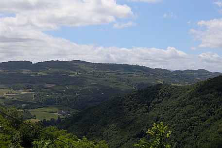 Alta Langa Landscape